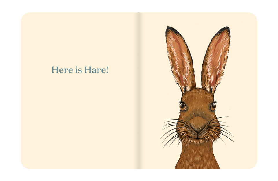 Here Is Hare