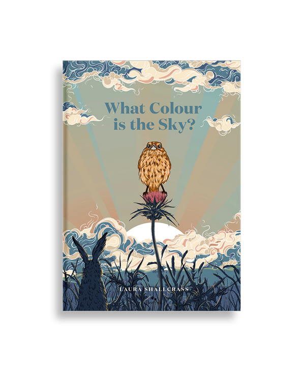 What Colour Is The Sky? Beatnik Publishing